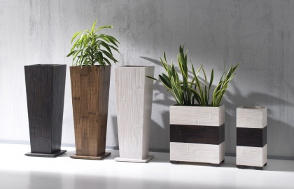 Vaso Essential - Onigiri